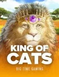 king of cats official logo